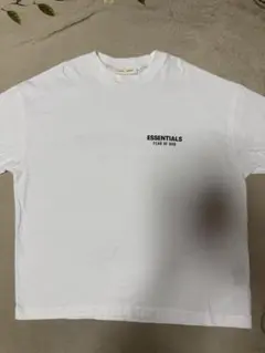 Item thumbnail for item ff5b46e0-9839-471f-b07d-f7905f912714