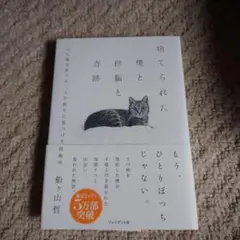 捨てられた僕と母猫と奇跡 : 心に傷を負った二人が新たに見つけた居場所