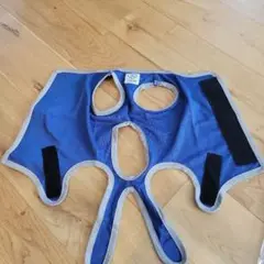 Item thumbnail for item 858e9784-3604-465c-9142-7368c540f56b