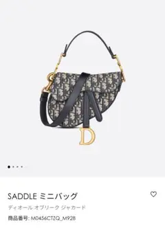 dior saddle ミニバッグ