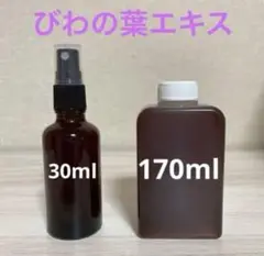 Item thumbnail for item 14e9fe3c-7119-41e8-ade5-7ff567ffde2b