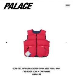 2025年最新】Palace Skateboards メンズ ベストの人気アイテム