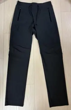 パタゴニア テラヴィア ライト アルパイン パンツ 30