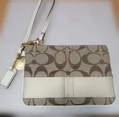 Item thumbnail for item 6c4b1863-902d-46a7-8006-c042a4da58fc