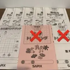 2025年未使用サピックス基礎力トレーニング5冊＋割り算1冊セット　3年生