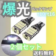 T16 T10 2個 ポジション バックランプ