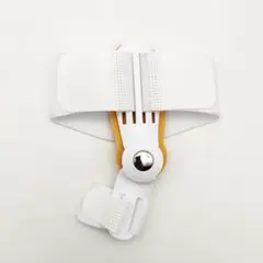 Item thumbnail for item e87c9574-8485-47be-be3f-5d069f8c6718