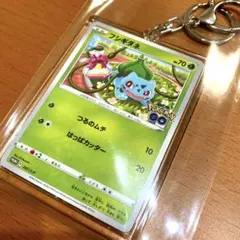 フシギダネ ポケモンカード プロモ キーホルダー
