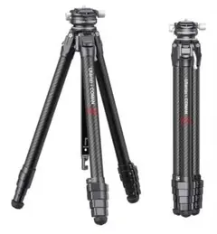 Item thumbnail for item d95ca019-cd3d-4a24-add5-5ffc6b4396dc