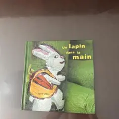 un lapin dans la main
