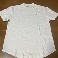 Abercrombie & Fitch Soft Lサイズ ホワイト