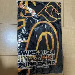 ソフトバンクホークス 宮崎キャンプ 記念タオル