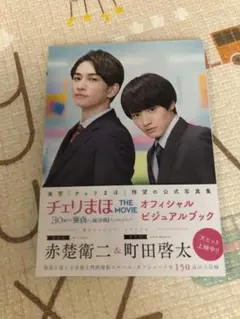 チェリまほ THE MOVIE ビジュアルブック