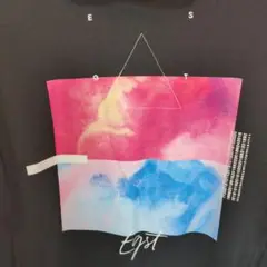 EGST パーカー　EGOIST エゴイスト