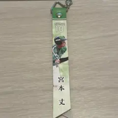 ヤクルトスワローズ 宮本丈 本革製 マッチデーボンフィン