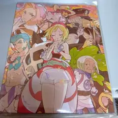 シンジュ団　カードファイル