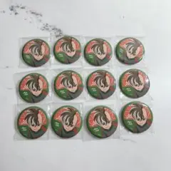イナイレ 不動 缶バッジ