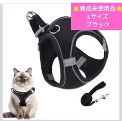 Item thumbnail for item cfd2aff5-c507-470a-ace6-d9c115b7e985