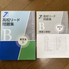 高校リード問題集 B 英文法と解答集