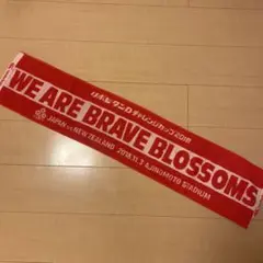 新品未開封　カンタベリー　タオル　日本代表