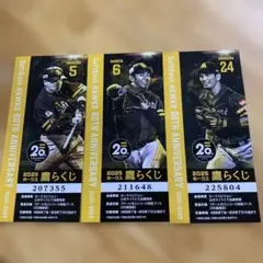 2025年ホークスくじ 20周年記念　山川　今宮　栗原