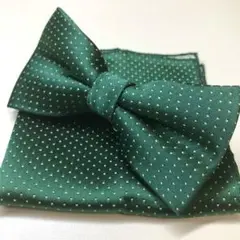 Item thumbnail for item b0caa124-ecce-465c-96ee-a54a1e722660