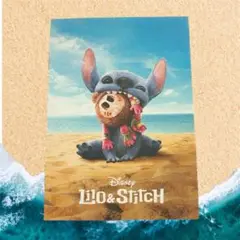 限定価格‼️ Disney リロ&スティッチ映 画 ポストカード