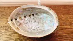 天然アワビシェル 大サイズ 特大約18cm 浄化用 トレイ 昭和レトロ