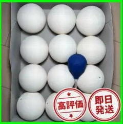 【早い者勝ち】ソフトテニス ボール 1ダース 12球 新品