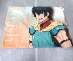 しまむら Fate フェイト 枕カバー