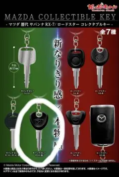 Item thumbnail for item 5a259d19-f116-43b5-b49e-69fb2077eb21
