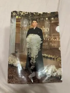 ☆値下げしました☆真風涼帆　クリアファイル