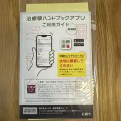 治療薬ハンドブック2024 : 薬剤選択と処方のポイント　付録のみ