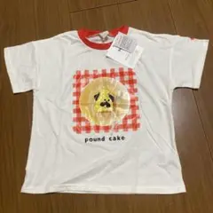 maison terrier メゾンテリア　akure コラボ　犬　120
