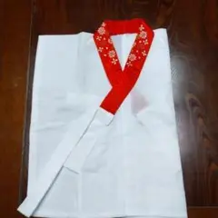13詣りに⭕3100円赤刺繍襟付き半襦袢⚫長襦袢が無くて探している方