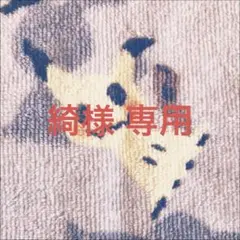 支配の精霊ペルフェクト / ギャラクシーチャージャー 2枚