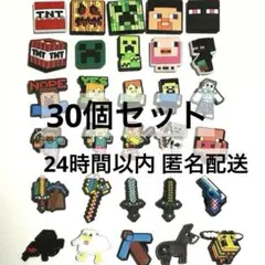 C【新品】Minecraft マイクラ クロックス ジビッツ チャーム 30種