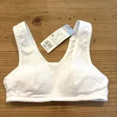 Item thumbnail for item 2620adfd-cb4a-4cff-95a6-7aae7512e5d2