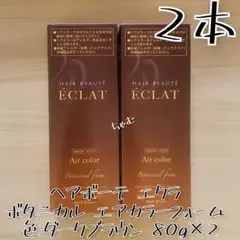 ヘアボーテ エクサ ボタニカル エアカラーフォーム 2本