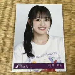 Item thumbnail for item ab9f3378-7189-4ee1-8587-ab2b98daccb4