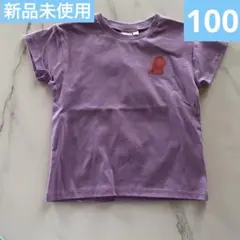 こびとづかん　カクレモモジリ　Tシャツ　ホトケアカバネ　新品未使用　100
