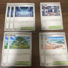 ミステリーガーデン 危ない廃墟 活力の森 なみのりビーチ ポケカ　スタジアム