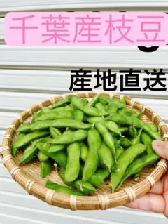 千葉産枝豆 1kg コンパクト