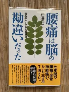 腰痛は脳の勘違いだった : 痛みのループからの脱出