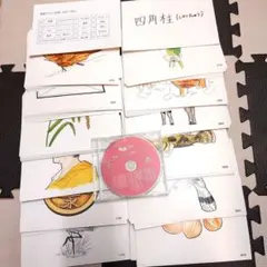 七田高速フラッシュ記憶カード CDフルセット