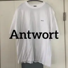 【送料込】Antwort ロゴTシャツ　サイズ2 白　三好良　a.presse