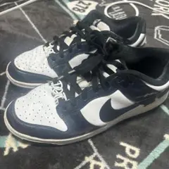 Nike Dunk Low SE