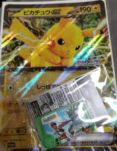 ポケモン メガ スタンプラリー 景品 JR ピカチュウ カード フレンダ