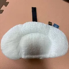 Item thumbnail for item f53f5e43-8837-4fa1-a199-24552d3d6c21