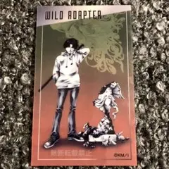 【WILD ADAPTER in YOKOHAMA 】クリアカード★時任稔